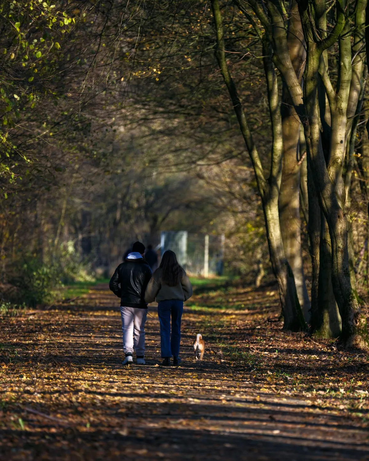 Twee mensen wandelen naast elkaar over een bospad in de herfst